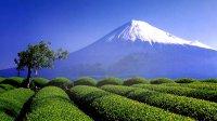 Climbing the sacred Mount Fuji