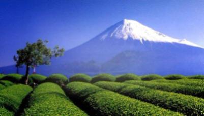 Climbing the sacred Mount Fuji