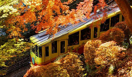 PicZip q85 (14:51:56 06.11.2025 0%  PROGRESSIVE  95066>>>95066)