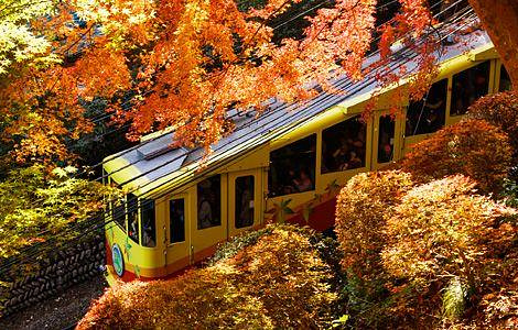 PicZip q85 (14:51:56 06.11.2025 0%  PROGRESSIVE  95066>>>95066)