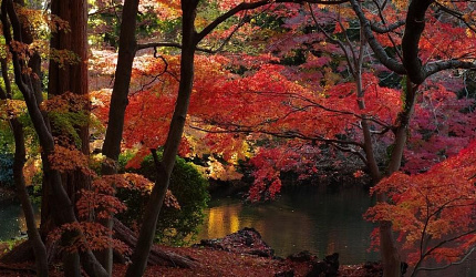 PicZip q85 (12:06:25 15.06.2017 0%  PROGRESSIVE  218280>>>218280)