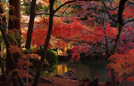 PicZip q85 (12:06:25 15.06.2017 0%  PROGRESSIVE  218280>>>218280)