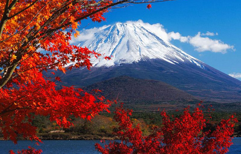 PicZip q85 (12:06:25 15.06.2017 0%  PROGRESSIVE  305896>>>305896)